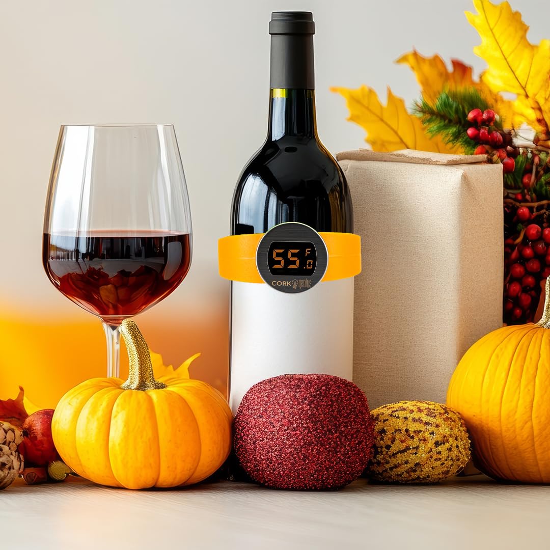 The Most Underrated Wine Tool: The Instant-Read Wine Thermometer