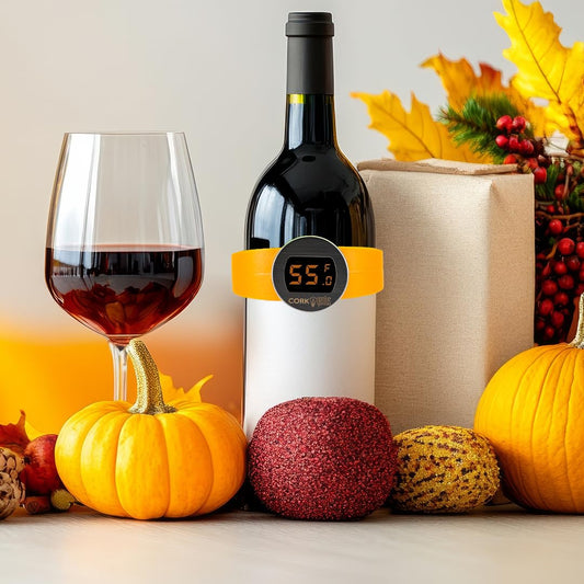 The Most Underrated Wine Tool: The Instant-Read Wine Thermometer